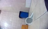 Pooping a lot on bed