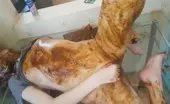 Amateur couple fuck in unique way