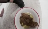 Bubble butt babe shitting over toilet