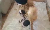 Brown shit on entire body