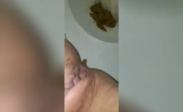 Shaved babe shits in toilet